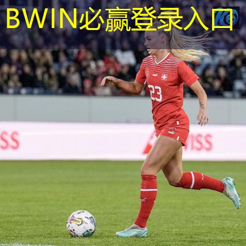 BWIN·必赢(中国)在线登录入口：精密轴承“小巨人”，泰德股份成功过会