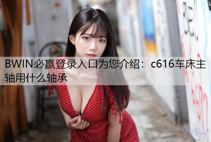 c616车床主轴用什么轴承