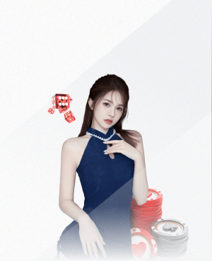 www.hth.com 国家专用乒乓球台